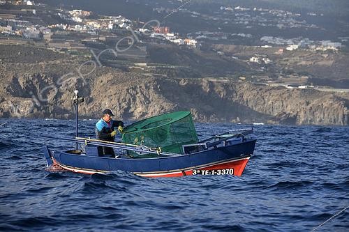 Biosphoto | 2609494 | Fisherman on the north coast of Tenerife. Fishing sector. Shrimp fishing (Plesionika narval) is a professional and artisanal activity carried out from small boats. Traps are placed on the seabed at depths of between 50 and 150 meters, and some fish are caught there. It is practiced year-round, although catches are more abundant in summer. Production is mainly for local consumption. BOAT: El Terror de los Mares. FISHERMAN: Frisco. San Marcos Fishermen's Guild of Icod de los Vinos, Tenerife, Canary Islands. | &copy; Sergio Hanquet / Biosphoto
