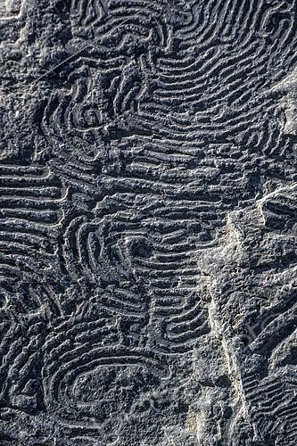 Biosphoto | 2495072 | Flysch a helminthoïdes en Haute Ubaye. Les flyschs à Helminthoïdes sont des turbidités qui datent du Crétacé supérieur, et présentent des traces sinueuses associées aux déplacements de gastéropodes, qui broutaient la vase du fond marin en créant des sillons sinueux. Haute Ubaye, Alpes de Haute-Provence, France | &copy; Jean-Philippe Delobelle / Biosphoto