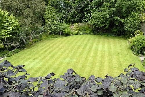 Biosphoto | 993256 | Formal lawn viewed from beech hedge | &copy; Lamontagne / Biosphoto