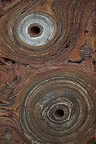 Biosphoto | 2443397 | Fossil Stromatolite - Conophytum basalticum - Cambrian - Australia - Katherine - Northern Territory | &copy; John Cancalosi / Biosphoto