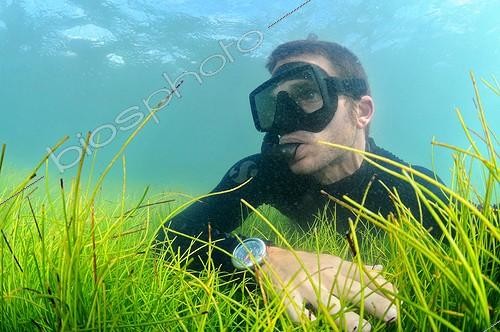 Biosphoto | 1175465 | Freediver on Seagrass Syringodium Martinique  | &copy; Mathieu Foulquié / Biosphoto