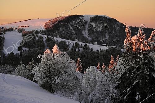 Biosphoto | 2479529 | From the stubble of Wissgrut (1124m), winter evening, snow, view of the summit of the Ballon d Alsace, Sewen, Haut-Rhin, France | &copy; Denis Bringard / Biosphoto