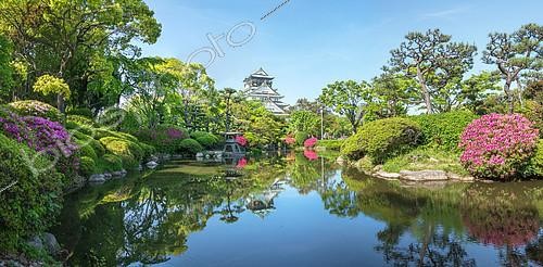 Biosphoto | 2406084 | Garden of osaka castle under ans azalea in full blum, Japan | &copy; Vincent Marion / Biosphoto