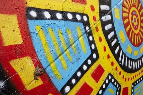 Biosphoto | 2091065 | Garden Snail (Helix aspersa) on a wall covered with graffiti, France | &copy; Frank Deschandol & Philippe Sabine / Biosphoto