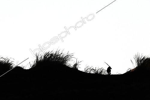 Biosphoto | 2087889 | Gemsbok (Oryx gazella) silhouette in the dunes, Namib Desert, Namibia | &copy; Philippe Moës / Biosphoto