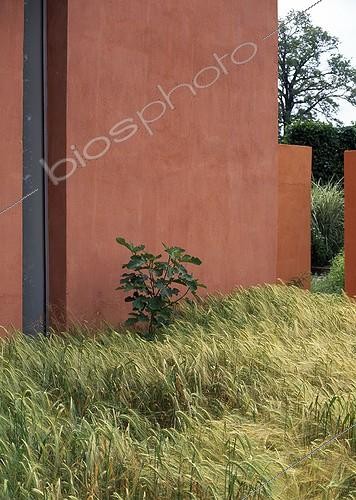 Biosphoto | 1503724 | Grassed against a wall in a garden ; Landscapers: Ossart-Maurières | &copy; Gilles Le Scanff & Joëlle-Caroline Mayer / Biosphoto