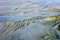 Biosphoto | 815211 | Green tide pollution on Fresnaye bay Brittany France | &copy; Pascal Bourguignon / Biosphoto