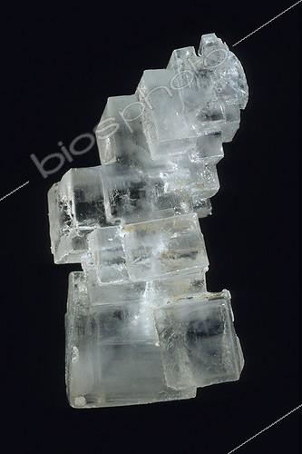 Biosphoto | 1469805 | Halite ou Sel gemme sur fond noir ; Collection École des Mines. | &copy; Monique Berger / Biosphoto