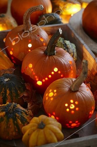 Biosphoto | 2053390 | Halloween pumpkins, | &copy; Visions Pictures / Biosphoto