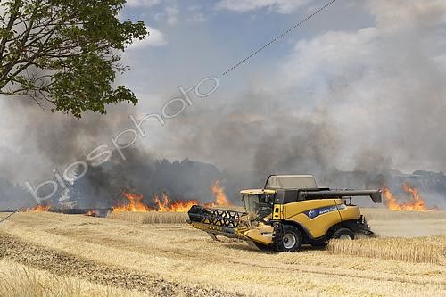 Biosphoto | 2578861 | Harvesting machine on the verge of flames, following a period of extreme heat, a fire ravages a field of cereals, barley in the foreground and wheat in the distance. | &copy; Claudius Thiriet / Biosphoto