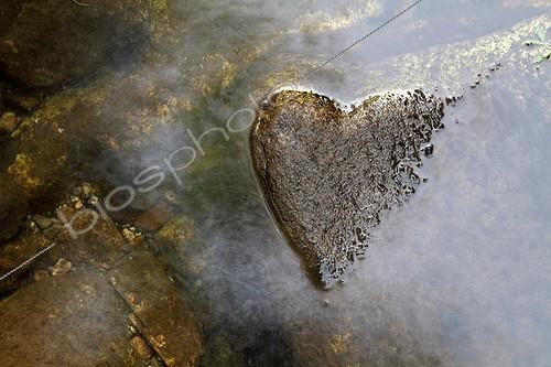 Biosphoto | 1846745 | Heart formed by the water level of a river stone France | &copy; Pascal Pittorino / Biosphoto