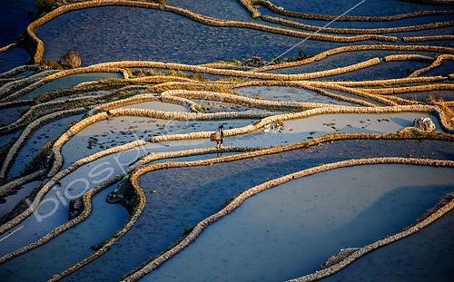 Biosphoto | 2519119 | Honghe Hani Rice Terraces in Yuanyang County. Yunnan Province. China. | &copy; Andrey Gudkov / Biosphoto