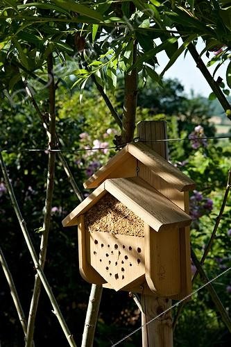 Biosphoto | 891730 | Hotel insect Garden of Paradise Cordes-sur-Ciel France | &copy; Philippe Giraud / Biosphoto