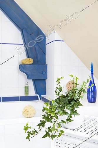 Biosphoto | 988320 | Ivy in a bathroom ; Plant air-filtering soil | &copy; Frédérique Bidault / Biosphoto