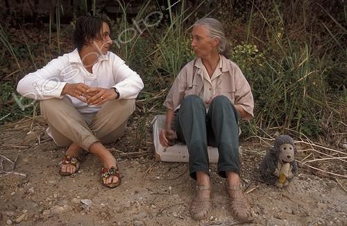 Biosphoto | 59973 | Jane Goodall parle avec Sonya Hill Centre de Gombe Tanzanie ; Centre de Recherche de Gombe Stream. Jane Goodall, née en 1934 a débuté ses études sur les chimpanzés de Gombe en 1960. Sonya Hill travaille pour le Jane Goodall Institute. Mascotte : Mister H | &copy; Michel Gunther / Biosphoto