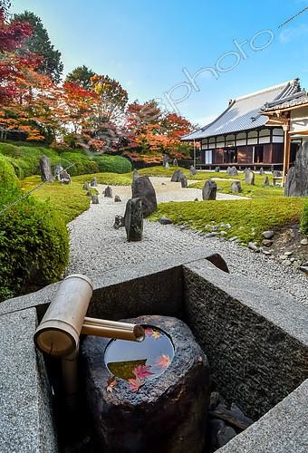 Biosphoto | 2102517 | Japanese rock garden in Komyoin temple, Kyoto, Japan | &copy; Vincent Marion / Biosphoto