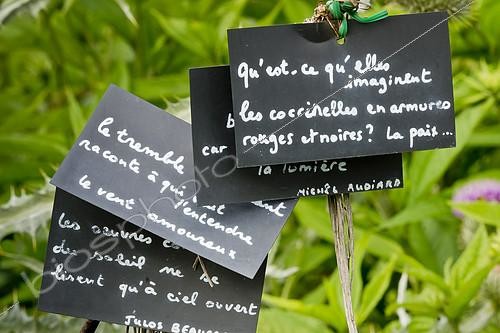 Biosphoto | 2140260 | Label quotes, Garden decoration | &copy; Alain Kubacsi / Biosphoto