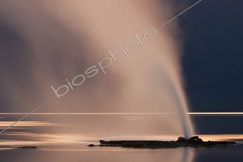 Biosphoto | 1370462 | Lake Bogoria's geyser and hot springs Kenya | &copy; Martin Harvey / Biosphoto