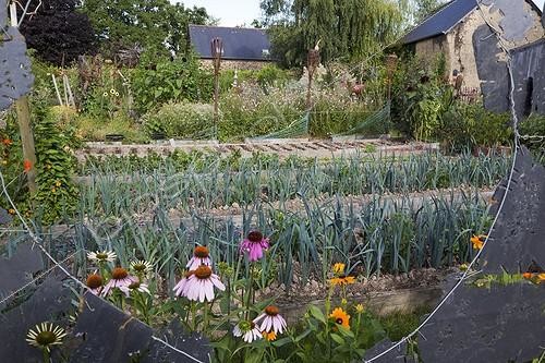 Biosphoto | 1164933 | Lanes of leeks in an organic flowered kitchen garden | &copy; NouN / Biosphoto
