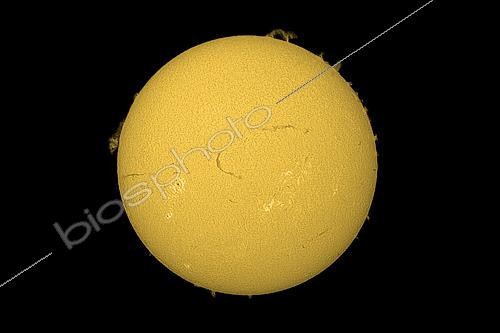 Biosphoto | 2619246 | Le Soleil photographié en H-Alpha le 15 mars 2026. La chromosphère et les protubérances sont bien visibles alors que l'activité solaire est importante. Seine et Marne. France. | &copy; Christophe  Lehénaff / Biosphoto