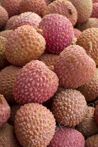 Biosphoto | 2075777 | Lychee (Litchi sinensis | &copy; Frédéric Tournay / Biosphoto