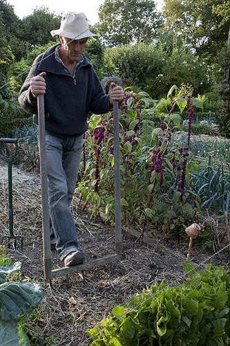 Biosphoto | 1250600 | Man using a grelinette in an organic garden | &copy; NouN / Biosphoto