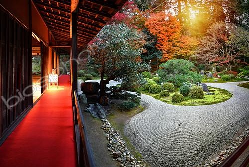 Biosphoto | 2102519 | Manshuin temple at night in Kyoto, japan | &copy; Vincent Marion / Biosphoto
