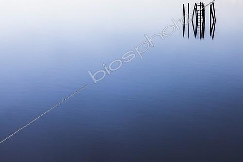 Biosphoto | 1992767 | Measuring range level in a pond - Camargue France  | &copy; David Tatin / Biosphoto