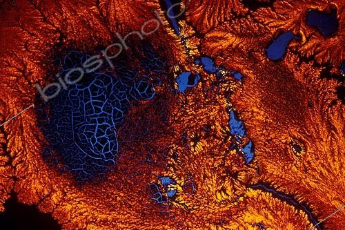 Biosphoto | 740653 | Mercury cristals by polarized light | &copy; Georges Lopez / Biosphoto