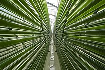 Biosphoto | 1636179 | Microalgae production plant in Germany | &copy; Pascal Goetgheluck / Biosphoto