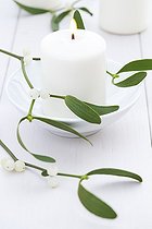 Biosphoto | 1828260 | Mistletoe and candle on a table | &copy; Frédérique Bidault / Biosphoto