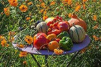 Biosphoto | 2084192 | Mixed summer fruits and vegetables, Provence, France | &copy; Philippe Giraud / Biosgarden / Biosphoto