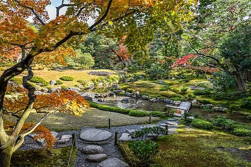 Biosphoto | 2102525 | Muirin-an garden in Kyoto, Japon | &copy; Vincent Marion / Biosphoto