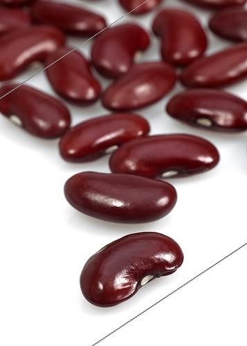 Biosphoto | 1777842 | Mung bean | &copy; Gérard Lacz / Biosphoto