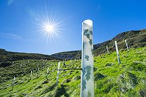 Biosphoto | 2395241 | Native trees reforestation in Miera Valley, Valles Pasiegos, Cantabria, Spain, Europe | &copy; Juan-Carlos Muñoz / Biosphoto