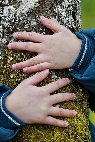Biosphoto | 2609577 | Nature discovery in primary school - Children's hands embracing a moss-covered trunk - France | &copy; Dominique Delfino / Biosphoto