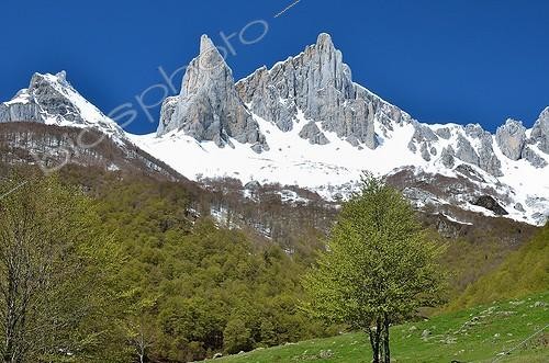 Biosphoto | 1941625 | Needles Ansabère - Aspe Valley Pyrenees France | &copy; Georges Lopez / Biosphoto