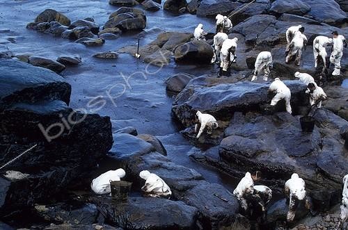 Biosphoto | 160381 | Nettoyage de la côte souillée par le pétrole Mugia Espagne | &copy; Julien de Sutter / Biosphoto