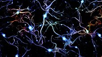 Biosphoto | 2473916 | Neurons brain cells with electrical firing | &copy; Bruce Rolff / Stocktrek Images / Biosphoto