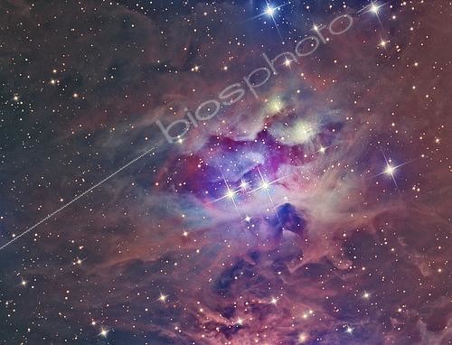 Biosphoto | 2484109 | NGC 1973, The Running Man Nebula. This image captured with a telescope and a scientific CCD camera | &copy; Reinhold Wittich / Stocktrek Images / Biosphoto