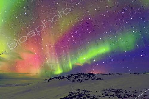 Biosphoto | 2602133 | Northern lights over Scoresby Strait. Scoresbysund, Greenland | &copy; Pierre Vernay / Biosphoto