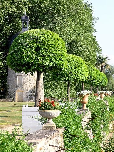 Biosphoto | 2126263 | Orange trees in pot - Jardins du Château de Digoine, Palinges | &copy; Lamontagne / Biosphoto