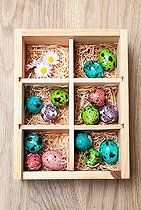 Biosphoto | 2011924 | Painted quail eggs in a box | &copy; Yann Avril / Biosphoto