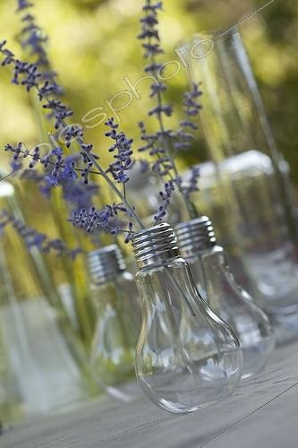 Biosphoto | 1367563 | Petits bouquets de Lavande dans des ampoules | &copy; Philippe Giraud / Biosphoto