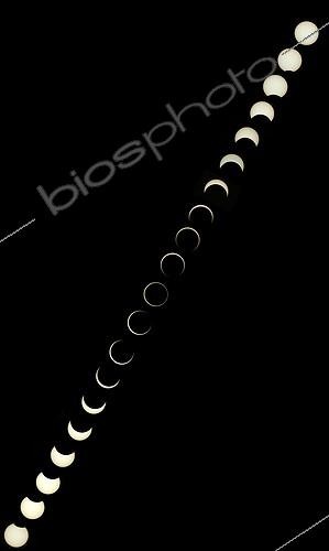 Biosphoto | 493881 | Phases of an annular solar eclipse Spain ; Each view has been taken separately (every 5 min) with a 120 mm aperture and 2000 mm focal length telescope equipped with a solar filter.<br>2005 october 03 in Spain.  | &copy; Laurent Pacelli / Biosphoto
