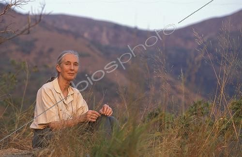 Biosphoto | 59974 | Portrait de Jane Goodall Centre de Gombe Stream Tanzanie ; Centre de Recherche de Gombe Stream. Jane Goodall, née en 1934 a débuté ses études sur les chimpanzés de Gombe en 1960 | &copy; Michel Gunther / Biosphoto