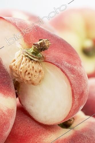 Biosphoto | 414128 | Prunus persica | &copy; Visions Pictures / Biosphoto
