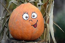 Biosphoto | 1954605 | Pumpkin decorated for Halloween - France | &copy; Dominique Delfino / Biosphoto