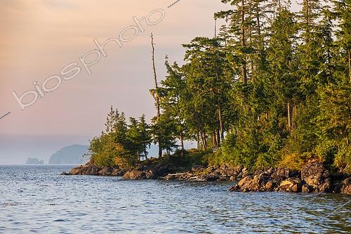 Biosphoto | 2613750 | Rainforest bordering the east coast of Vancouver Island, British Columbia, Canada. | &copy; Evelyne Boyard / Biosphoto