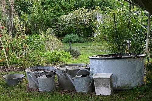 Biosphoto | 1268498 | Rainwater collection in a garden | &copy; Patricia Méaille / Biosphoto
